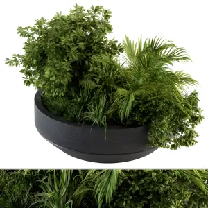 Outdoor plants tree in concrete pot