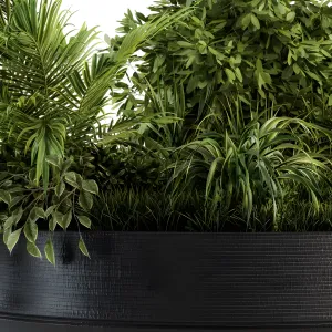 Outdoor plants tree in concrete pot