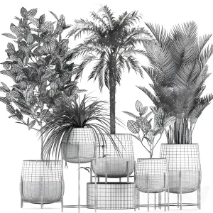 Plant collection