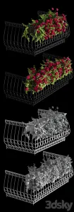 Plant geranium for the facade