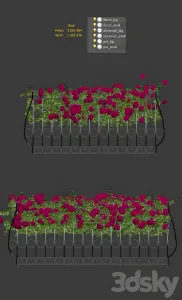 Plant geranium for the facade