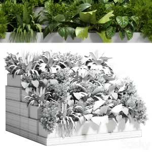 Stairs plant collection outdoor indoor plant