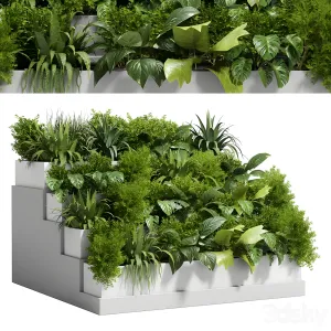 Stairs plant collection outdoor indoor plant