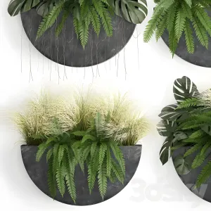 Vertical gardening