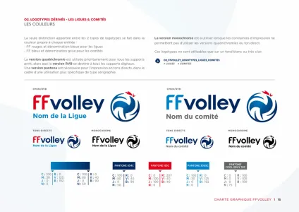 Fédération Française De Volley
