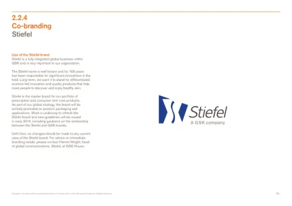 Gsk 2013