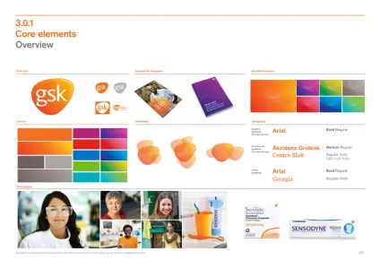 Gsk 2013
