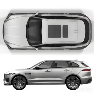 Jaguar Pace