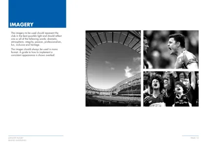 Leinster 2012