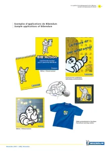 Michelin 2002