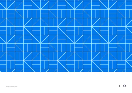 Micro Focus