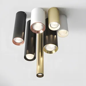 Aqform rotto pet collection