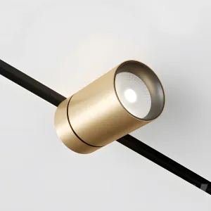 Reggiani set