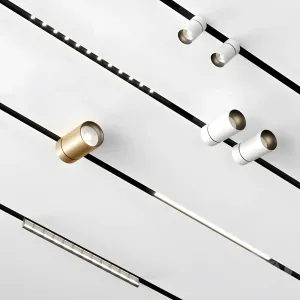 Reggiani set