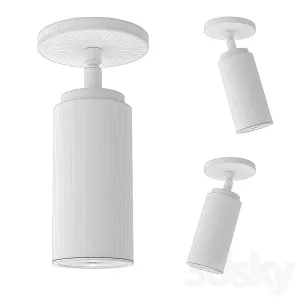 Rh champeaux adjustable flushmount