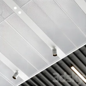 Suspended ceiling sas international