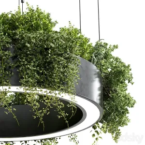 Circle pot light