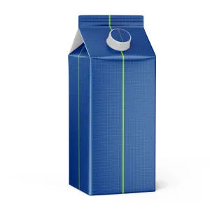 Carton Package With Plastic Cap