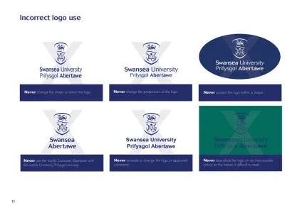 Swansea University