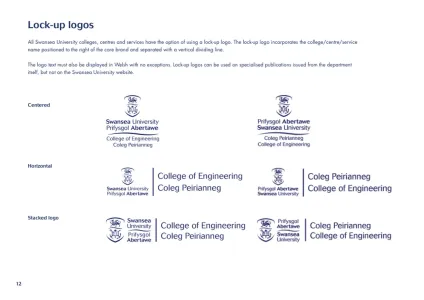 Swansea University