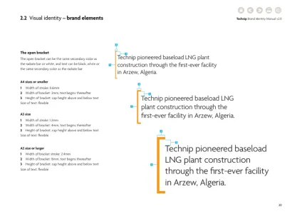 Technip 2011