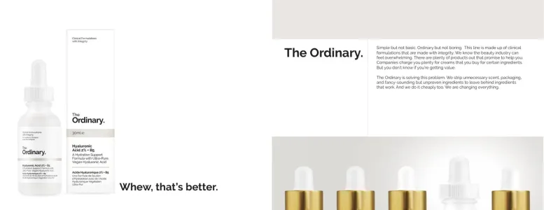 The Ordinary