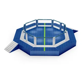 Mma Octagon Cage
