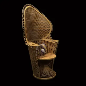 Wicker rattan fan back peacock chair vintage