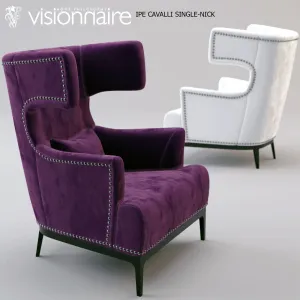 Single nick series visionnaire style