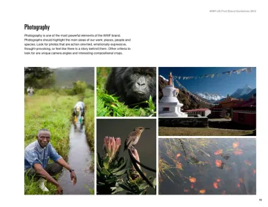 Wwf 2012