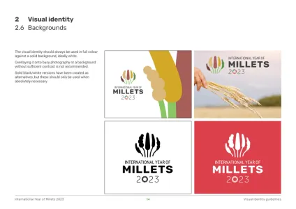 Year of Millets