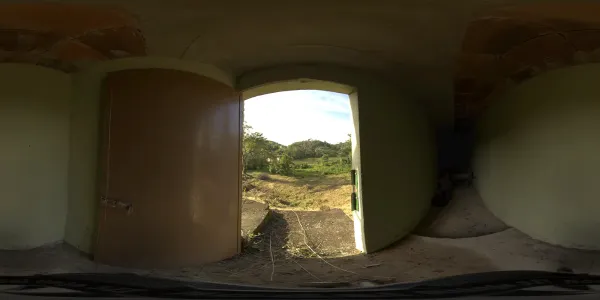 Cellar door