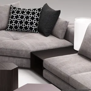 Lshape sofa 5