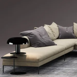 Molteni sofa paul