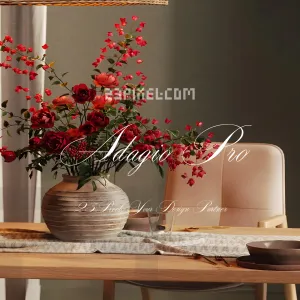 Adagio Pro