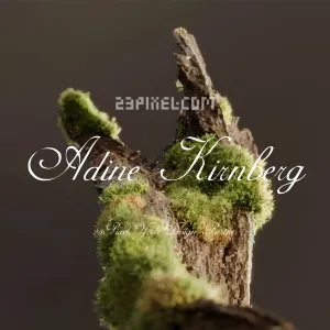 Adine Kirnberg