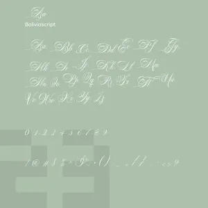 Bolivia Script