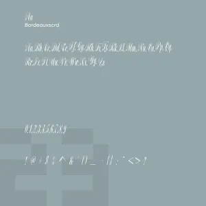 Bordeaux Script