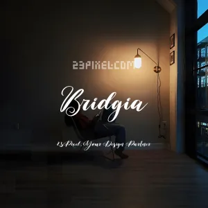 Bridgia