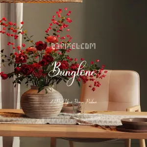 Bunglone Script