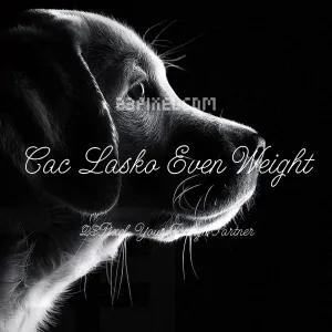 Cac Lasko Even Weight
