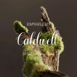 Caldwell Script