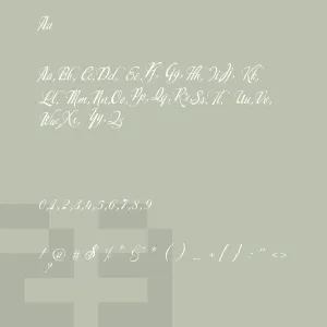 Calligraphy script
