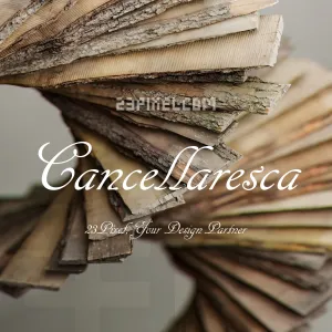 Cancellaresca Script