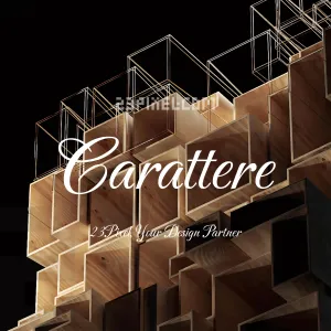Carattere