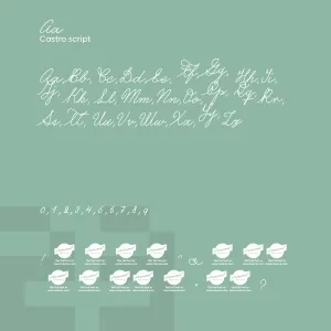 Castro Script
