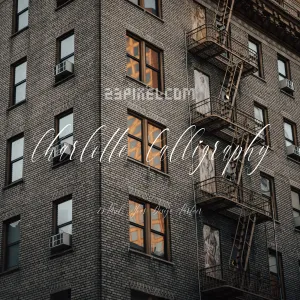 Charlotte Calligraphy
