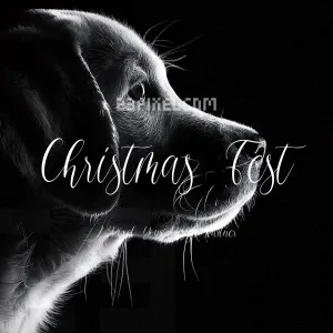 Christmas Fest