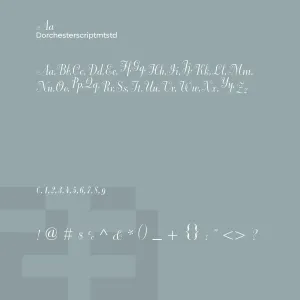 Dorchester Script Mt Std