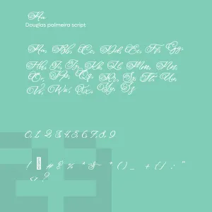 Douglas Palmeira Script